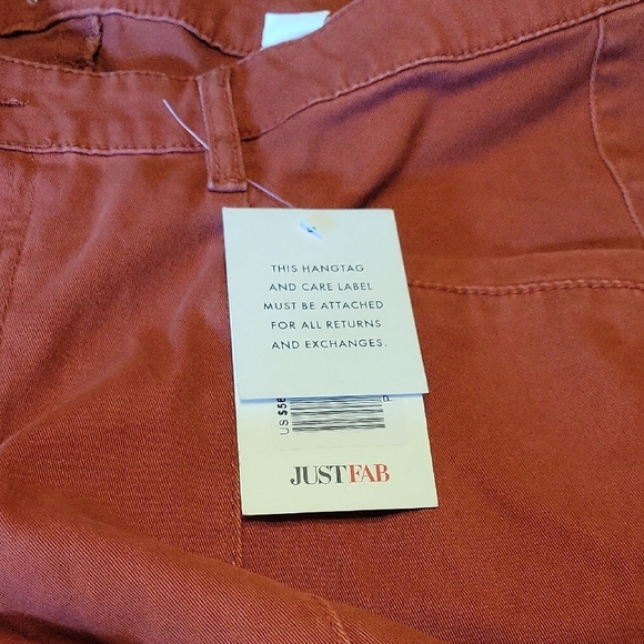 Just Fab Plus Size 33 Rust Red Pants - Picture 8 of 8